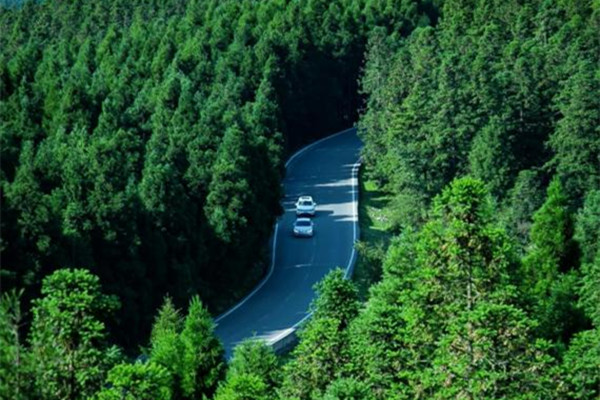 仙女山。武隆区委宣传部供图