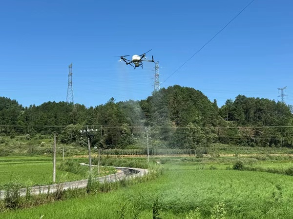 南川“智慧田”裡的無人機：10元飛防 效率飆升25倍