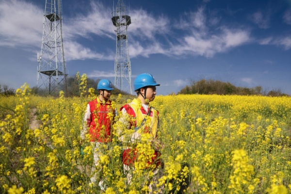 国网重庆信通公司运维团队在南山微波站进行线路巡检。张淳摄