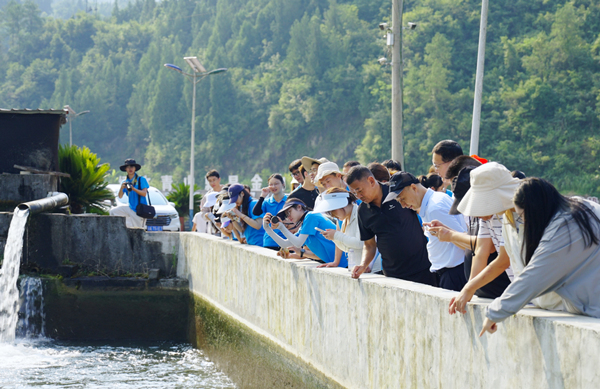 重师青年在开州山地间探寻乡村振兴的“分层答卷”