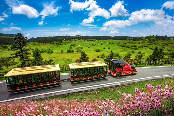仙女山国家森林公园小火车。景区供图