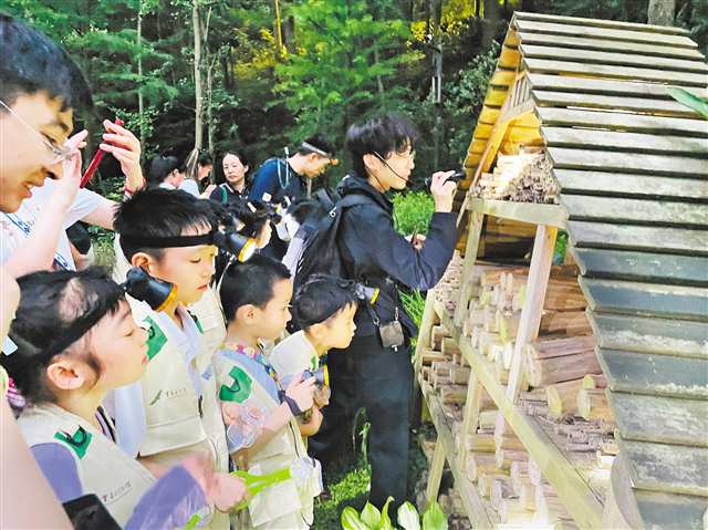 重庆自然博物馆带领研学队伍开启缙云夜观奇妙之旅。