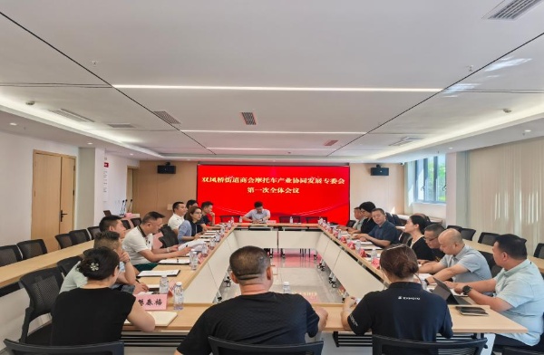 会议现场。双凤桥街道供图