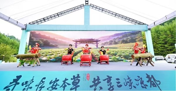 开幕式现场。主办方供图