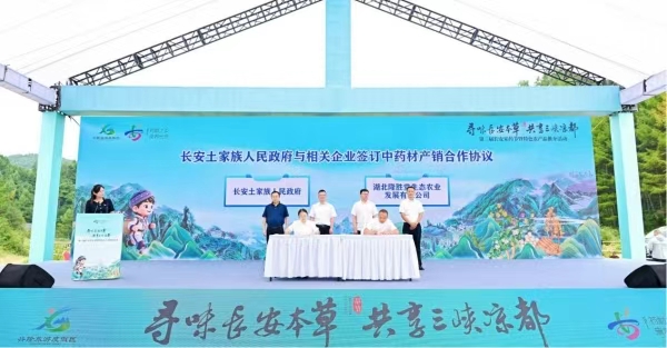 签约仪式现场。主办方供图