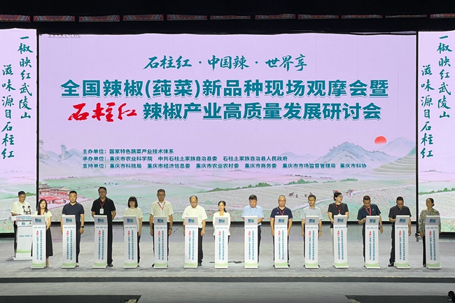 活动现场。黄亚辉摄