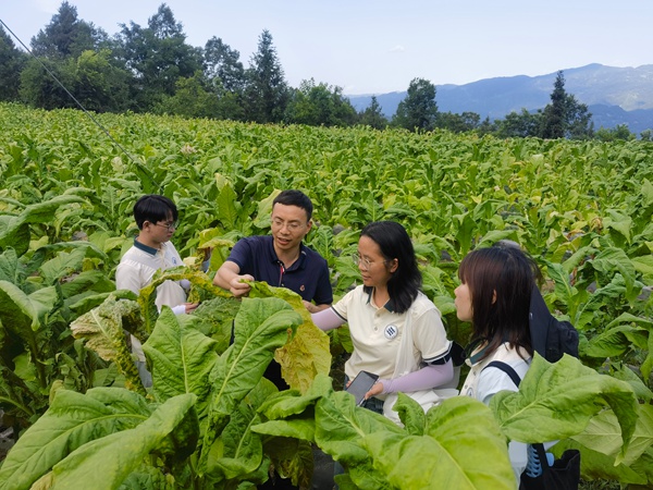 重庆文理学院：深耕山地特色农业 智绘乡村振兴图景