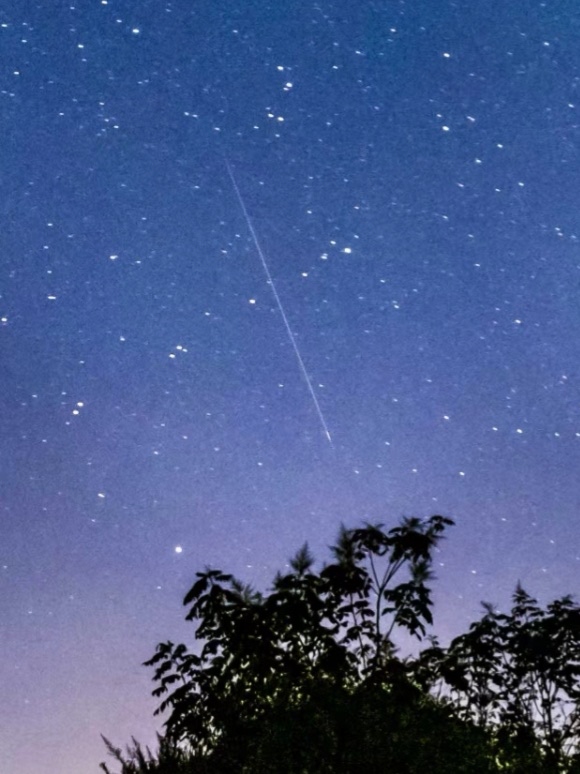 流星雨劃過巴南夜空。劉紀湄攝