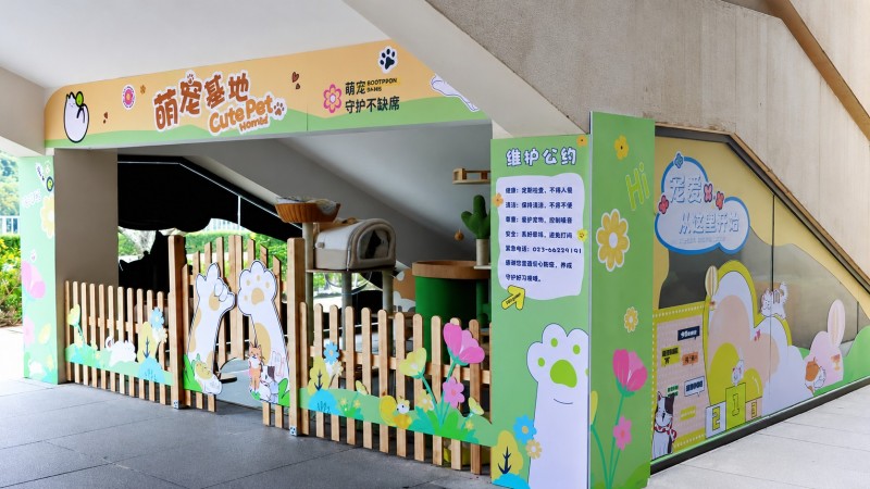 寵愛有“家”！重慶一高校探索“寵物友好校園”建設