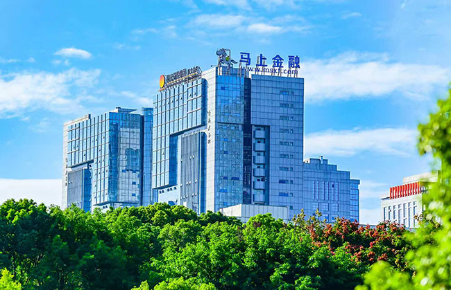 公司大楼。马上消费供图