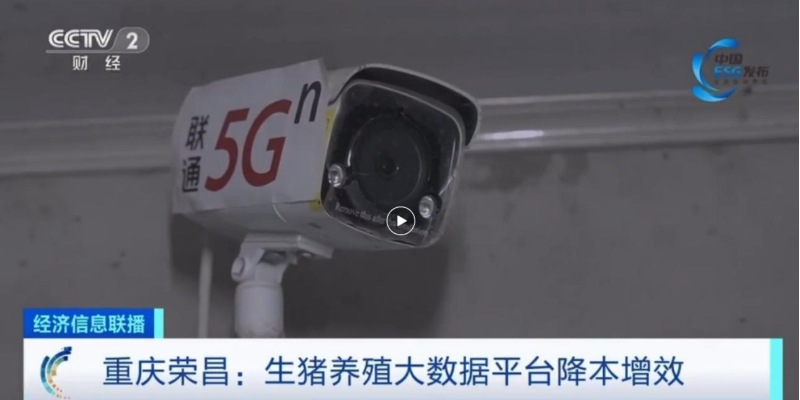 智慧养殖基地实施全景监控。中国联通重庆市分公司供图