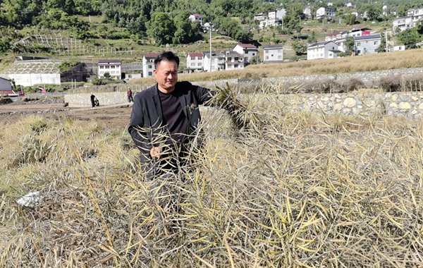贾武在田间地头帮助村民劳作。中国移动重庆公司供图