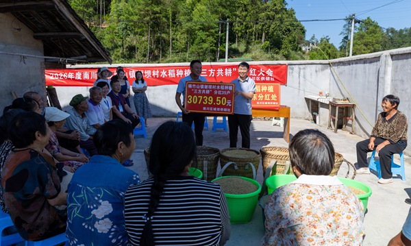 大会现场。罗川摄