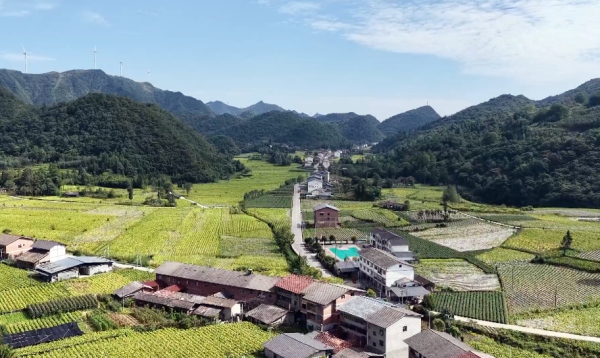 豐都太平壩鄉田園風光。劉先華攝