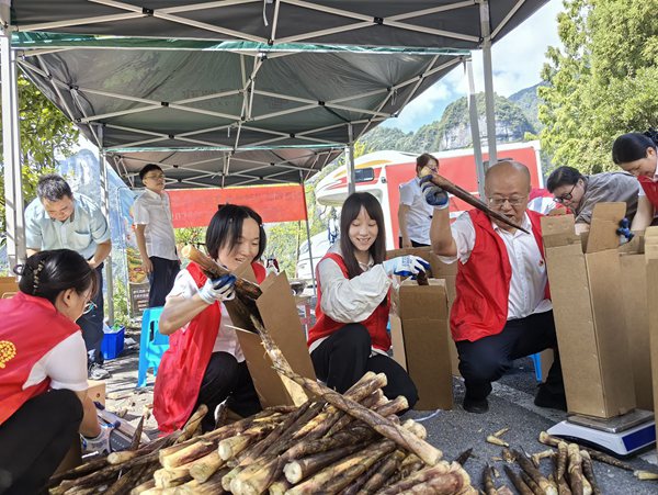 邮政组织党员先锋队、青年突击队协助分装。中国邮政重庆市分公司供图