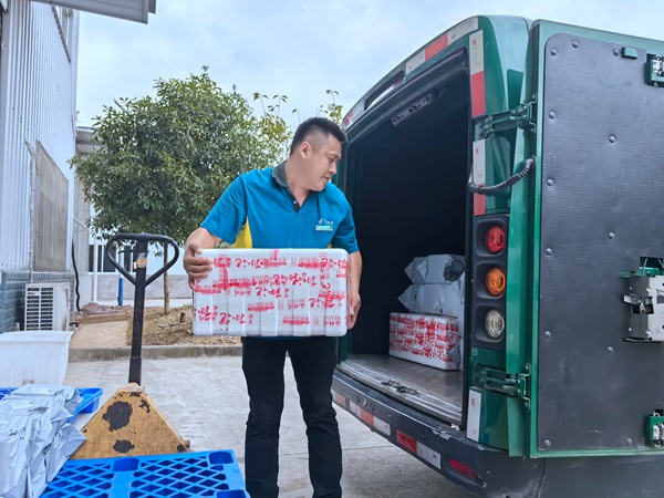 电商渠道打开了，邮政忙着寄递。中国邮政重庆市分公司供图