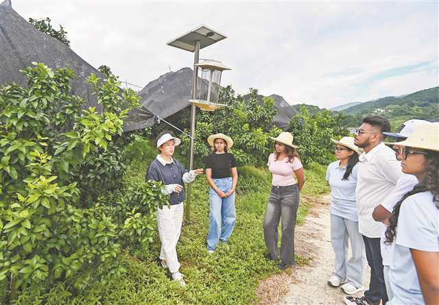 9月3日，萬州玉竹村百果欣農民田間學校，斯裡蘭卡留學生們正在學習現代果園管理技術。