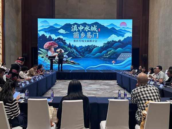 推介會現場。主辦方供圖