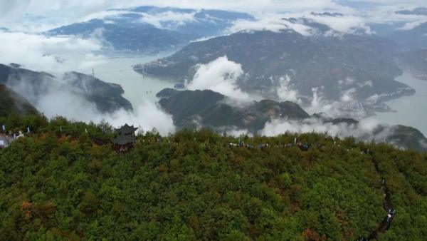 烟雨三峡之巅,诗意如约而至。奉节县委宣传部供图
