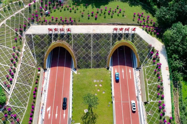 陶家隧道通车。九龙坡区融媒体中心供图
