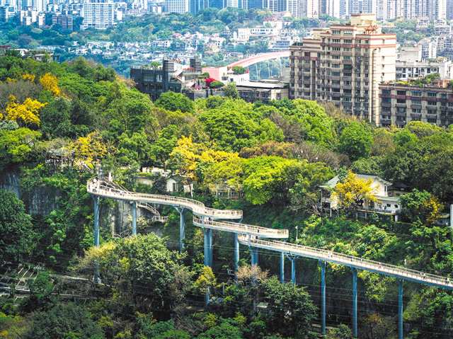 渝中區半山崖線鵝嶺棧橋（無人機照片）。記者 張春曉 攝/視覺重慶