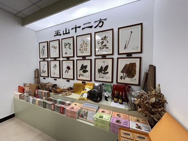 巫山縣中藥材產業發展中心展示的“巫山十二方”。周小平攝