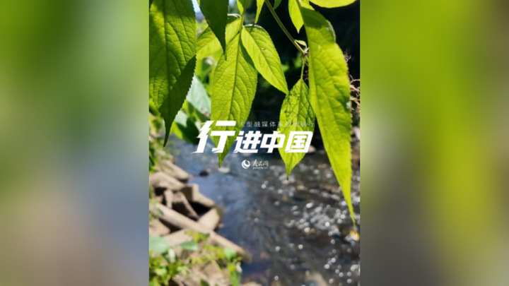 一条臭水沟的“绿色”重生