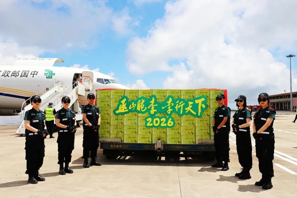 巫山脆李郵航專機。巫山縣果品產業發展中心供圖
