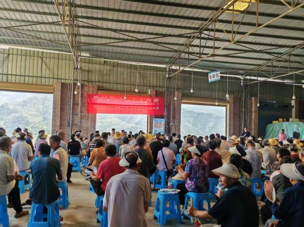 中国太保产险奉节支公司工作人员向脐橙种植户宣讲保险政策。中国太保产险重庆分公司供图