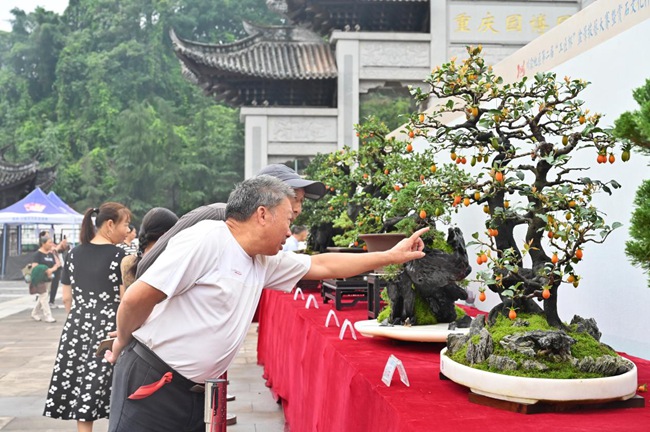 活动现场。邹乐摄