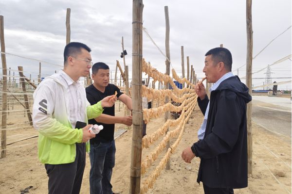 张翔（左一）在新疆生产建设兵团第十三师新星市黄田农场调研农产品。受访者供图