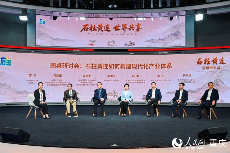 石柱黄连产业高质量发展圆桌研讨会现场。人民网 邹乐摄