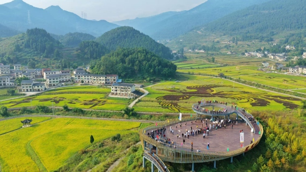 包鸞鎮秋景。劉先華攝
