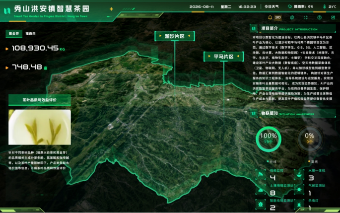 秀山洪安數智茶園。重慶電信供圖