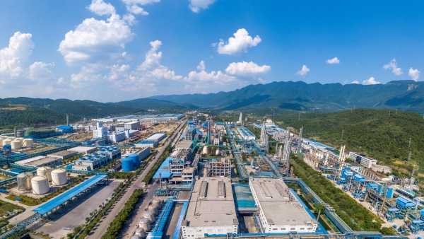 白涛新材料科技城。蒋敬摄