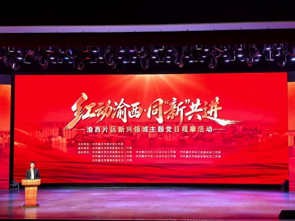 渝西片区新兴领域主题党日观摩活动现场。徐雯瑄摄