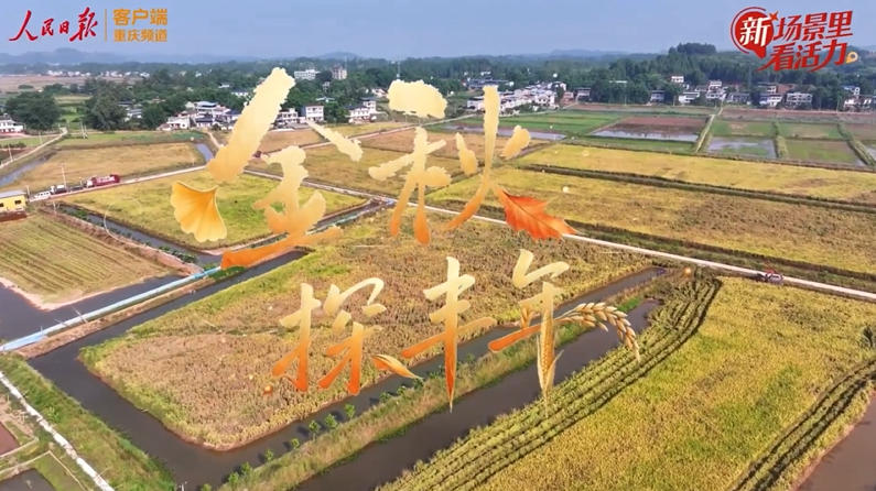 谁，在稻田里横着走？