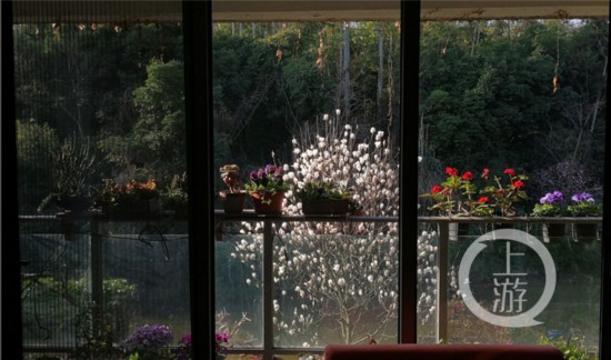 大學教授十年打造一座微型植物園(6120313)-20210329221523.jpg