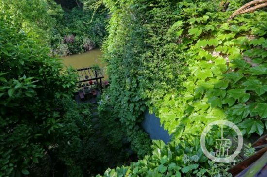 大學教授十年打造一座微型植物園(6120276)-20210329222538.jpg
